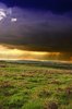 Before the Storm