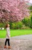 Spring Rise