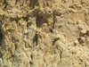 ground texture