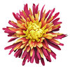 A flower