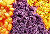 multicoloured meal7