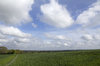 Country walk