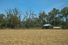 agriculture