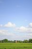 Fresh landscape