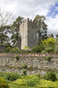 Old garden by a church