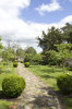 Garden path