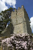 Romantic church ruins
