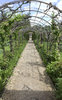 Garden pergola in spring