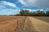 agriculture