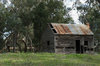 rural