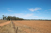 agriculture
