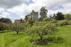 Rural orchard and garden