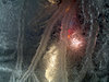 Jack Frost Was Here