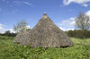 Traditional ice-house