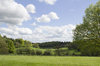Parkland in spring