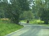 Amish Country Road