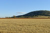 agriculture
