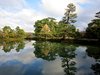 Kenrokuen Garden 2