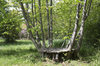 Garden table