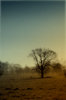 Spooky landscape