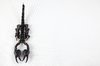 Black Scorpion