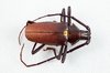 Pyrodes Longiceps Beetle