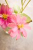Pretty Flowers 3