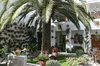 Courtyard with palm tree