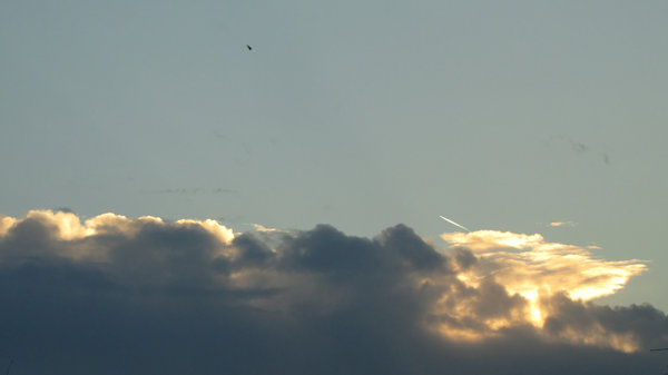 sky: November sky