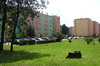 Modern blocks