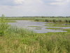 Lakes