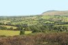 Rural landscape