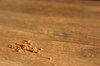 Bread Crumbs