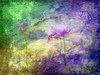 Vivid Fantasy Collage 2