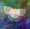 Vivid Fantasy Collage 6