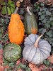 Gourds
