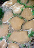 SteppingStones