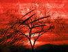 Landscape Collage 1