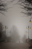 A walk in the mist