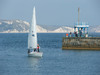 Return to Harbour