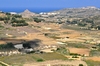 Farm land