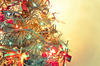 Christmas Tree 10