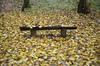 Bench in a park