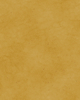 Plain Parchment 4