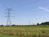 Electricity