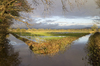 Flooded fields