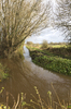 Ditch