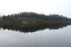 Loch reflections