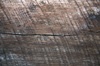 Weathered Wood