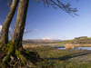 Landscape of Wales 2